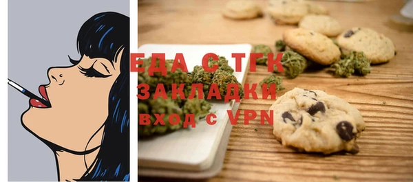 индика Алексин