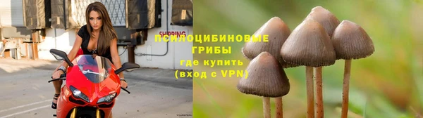 твердый Алзамай