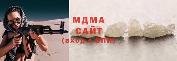 индика Алексин