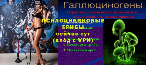 твердый Алзамай