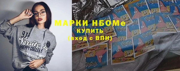 индика Алексин