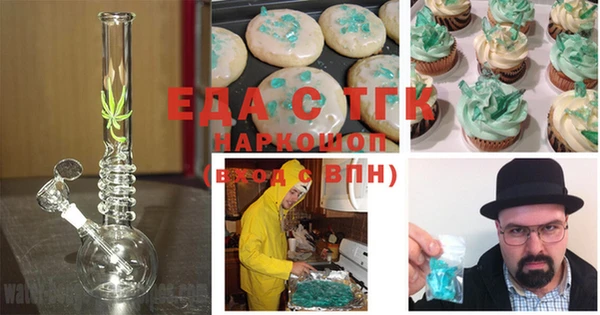 индика Алексин