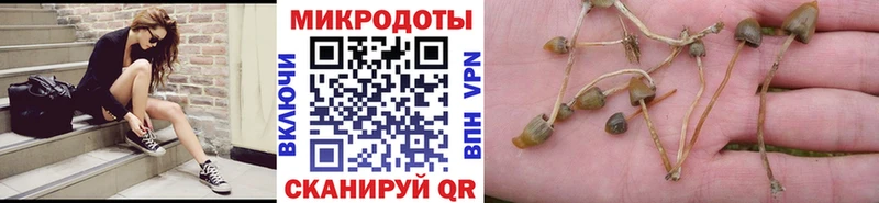 цена наркотик  Серафимович  Галлюциногенные грибы Magic Shrooms 